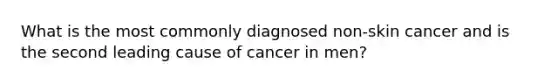 What is the most commonly diagnosed non-skin cancer and is the second leading cause of cancer in men?