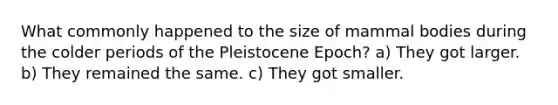 What commonly happened to the size of mammal bodies during the colder periods of the Pleistocene Epoch? a) They got larger. b) They remained the same. c) They got smaller.