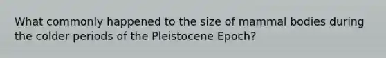 What commonly happened to the size of mammal bodies during the colder periods of the Pleistocene Epoch?