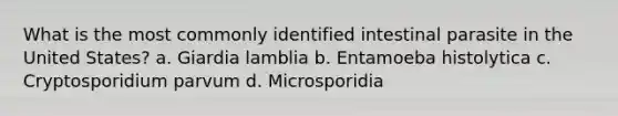 What is the most commonly identified intestinal parasite in the United States? a. Giardia lamblia b. Entamoeba histolytica c. Cryptosporidium parvum d. Microsporidia