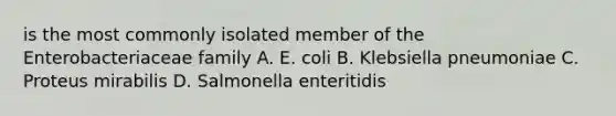 is the most commonly isolated member of the Enterobacteriaceae family A. E. coli B. Klebsiella pneumoniae C. Proteus mirabilis D. Salmonella enteritidis