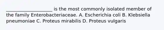 ____________________ is the most commonly isolated member of the family Enterobacteriaceae. A. Escherichia coli B. Klebsiella pneumoniae C. Proteus mirabilis D. Proteus vulgaris