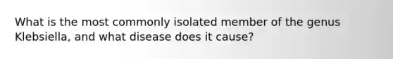 What is the most commonly isolated member of the genus Klebsiella, and what disease does it cause?