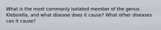 What is the most commonly isolated member of the genus Klebsiella, and what disease does it cause? What other diseases can it cause?