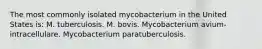 The most commonly isolated mycobacterium in the United States is: M. tuberculosis. M. bovis. Mycobacterium avium-intracellulare. Mycobacterium paratuberculosis.