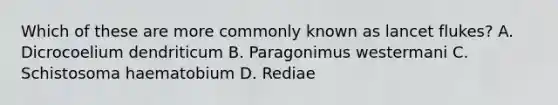 Which of these are more commonly known as lancet flukes? A. Dicrocoelium dendriticum B. Paragonimus westermani C. Schistosoma haematobium D. Rediae