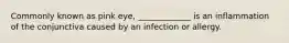 Commonly known as pink eye, _____________ is an inflammation of the conjunctiva caused by an infection or allergy.