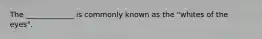 The _____________ is commonly known as the "whites of the eyes".