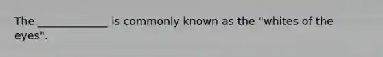 The _____________ is commonly known as the "whites of the eyes".