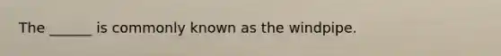 The ______ is commonly known as the windpipe.