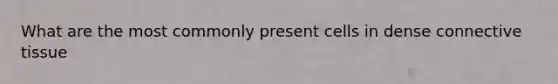 What are the most commonly present cells in dense connective tissue