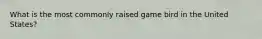 What is the most commonly raised game bird in the United States?