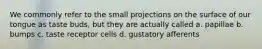 We commonly refer to the small projections on the surface of our tongue as taste buds, but they are actually called a. papillae b. bumps c. taste receptor cells d. gustatory afferents