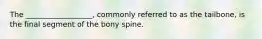 The __________________, commonly referred to as the tailbone, is the final segment of the bony spine.