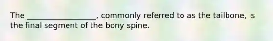 The __________________, commonly referred to as the tailbone, is the final segment of the bony spine.