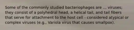 Some of the commonly studied bacteriophages are ... viruses; they consist of a polyhedral head, a helical tail, and tail fibers that serve for attachment to the host cell - considered atypical or complex viruses (e.g., Variola virus that causes smallpox).