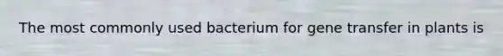 The most commonly used bacterium for gene transfer in plants is