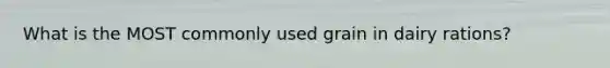 What is the MOST commonly used grain in dairy rations?