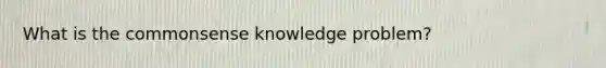 What is the commonsense knowledge problem?