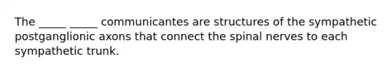 The _____ _____ communicantes are structures of the sympathetic postganglionic axons that connect the <a href='https://www.questionai.com/knowledge/kyBL1dWgAx-spinal-nerves' class='anchor-knowledge'>spinal nerves</a> to each sympathetic trunk.