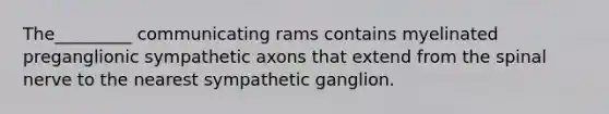 The_________ communicating rams contains myelinated preganglionic sympathetic axons that extend from the spinal nerve to the nearest sympathetic ganglion.