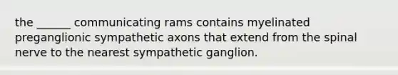 the ______ communicating rams contains myelinated preganglionic sympathetic axons that extend from the spinal nerve to the nearest sympathetic ganglion.