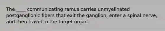 The ____ communicating ramus carries unmyelinated postganglionic fibers that exit the ganglion, enter a spinal nerve, and then travel to the target organ.