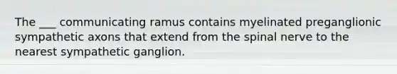 The ___ communicating ramus contains myelinated preganglionic sympathetic axons that extend from the spinal nerve to the nearest sympathetic ganglion.