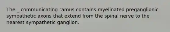 The _ communicating ramus contains myelinated preganglionic sympathetic axons that extend from the spinal nerve to the nearest sympathetic ganglion.