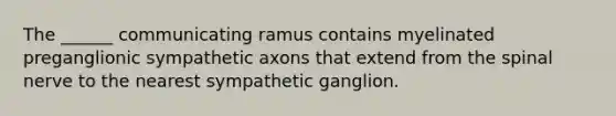 The ______ communicating ramus contains myelinated preganglionic sympathetic axons that extend from the spinal nerve to the nearest sympathetic ganglion.