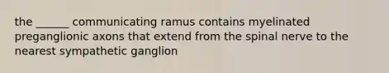 the ______ communicating ramus contains myelinated preganglionic axons that extend from the spinal nerve to the nearest sympathetic ganglion