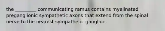 the _________ communicating ramus contains myelinated preganglionic sympathetic axons that extend from the spinal nerve to the nearest sympathetic ganglion.