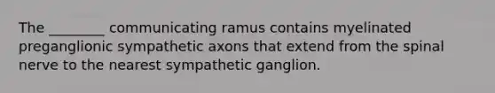 The ________ communicating ramus contains myelinated preganglionic sympathetic axons that extend from the spinal nerve to the nearest sympathetic ganglion.