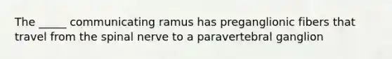 The _____ communicating ramus has preganglionic fibers that travel from the spinal nerve to a paravertebral ganglion