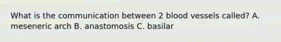 What is the communication between 2 blood vessels called? A. meseneric arch B. anastomosis C. basilar