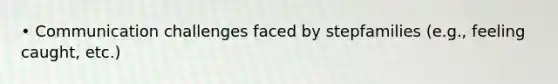• Communication challenges faced by stepfamilies (e.g., feeling caught, etc.)