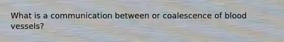 What is a communication between or coalescence of blood vessels?