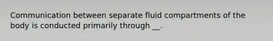 Communication between separate fluid compartments of the body is conducted primarily through __.