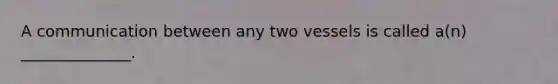 A communication between any two vessels is called a(n) ______________.