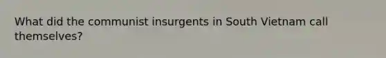 What did the communist insurgents in South Vietnam call themselves?