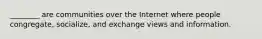 ________ are communities over the Internet where people congregate, socialize, and exchange views and information.