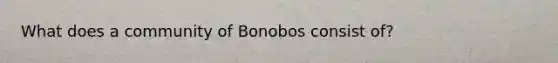 What does a community of Bonobos consist of?