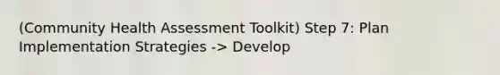 (Community Health Assessment Toolkit) Step 7: Plan Implementation Strategies -> Develop