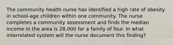 The community health nurse has identified a high rate of obesity in school-age children within one community. The nurse completes a community assessment and finds the median income in the area is 28,000 for a family of four. In what interrelated system will the nurse document this finding?