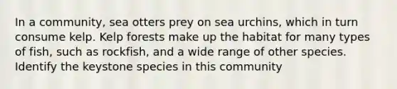 In a community, sea otters prey on sea urchins, which in turn consume kelp. Kelp forests make up the habitat for many types of fish, such as rockfish, and a wide range of other species. Identify the keystone species in this community