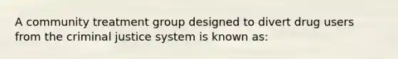 A community treatment group designed to divert drug users from the criminal justice system is known as: