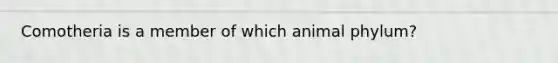 Comotheria is a member of which animal phylum?