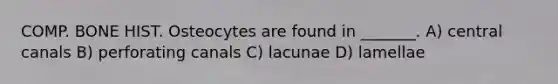 COMP. BONE HIST. Osteocytes are found in _______. A) central canals B) perforating canals C) lacunae D) lamellae