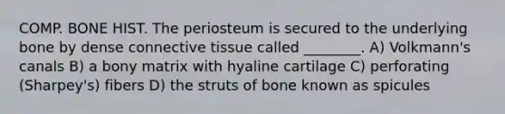 COMP. BONE HIST. The periosteum is secured to the underlying bone by dense <a href='https://www.questionai.com/knowledge/kYDr0DHyc8-connective-tissue' class='anchor-knowledge'>connective tissue</a> called ________. A) Volkmann's canals B) a bony matrix with hyaline cartilage C) perforating (Sharpey's) fibers D) the struts of bone known as spicules