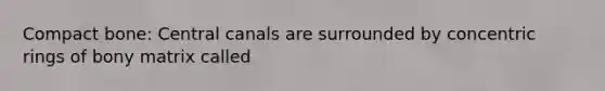 Compact bone: Central canals are surrounded by concentric rings of bony matrix called